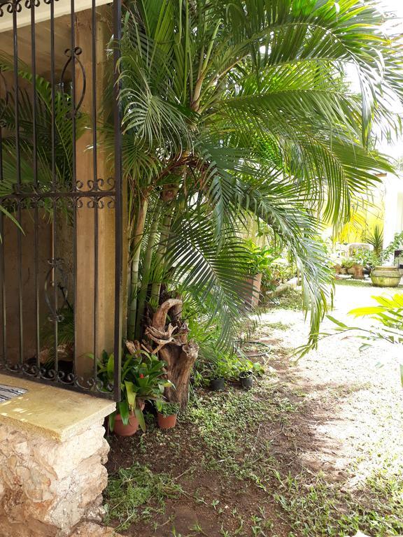 Casa De Ines Y Victoria Valladolid (Yucatan) Exterior foto